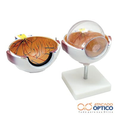 Olho 3D — foto 2 — Equipamentos Atacado Optico