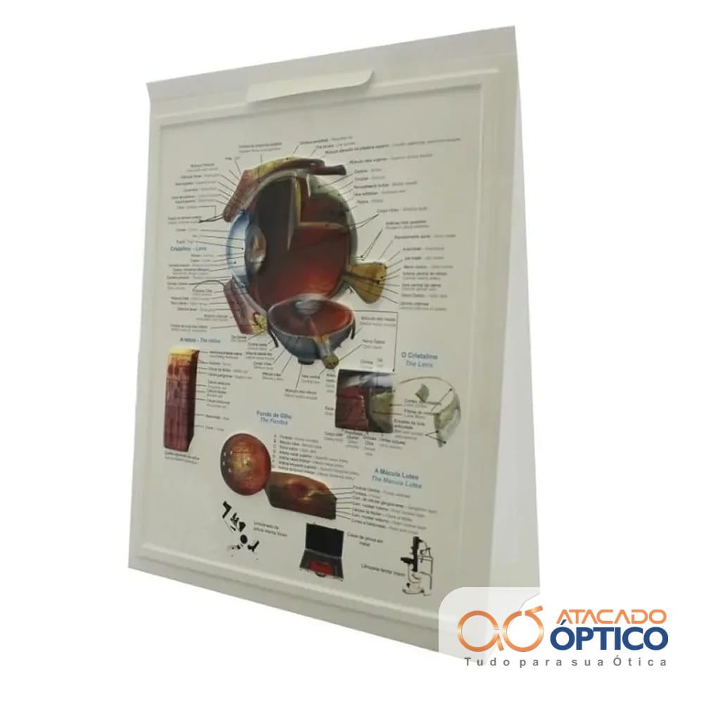 Olho Quadro — Equipamentos Atacado Optico