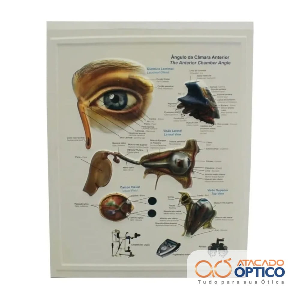 Olho Quadro — foto 3 — Equipamentos Atacado Optico