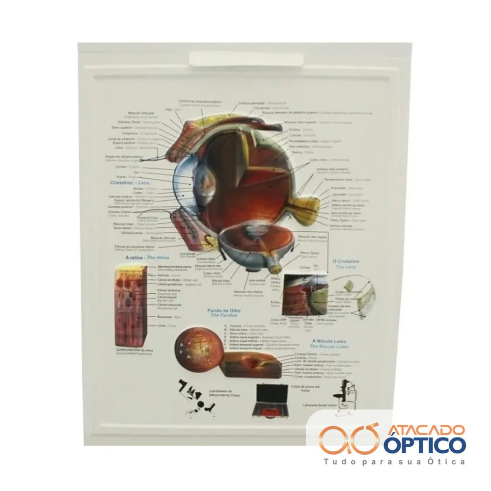 Olho Quadro — foto 4 — Equipamentos Atacado Optico