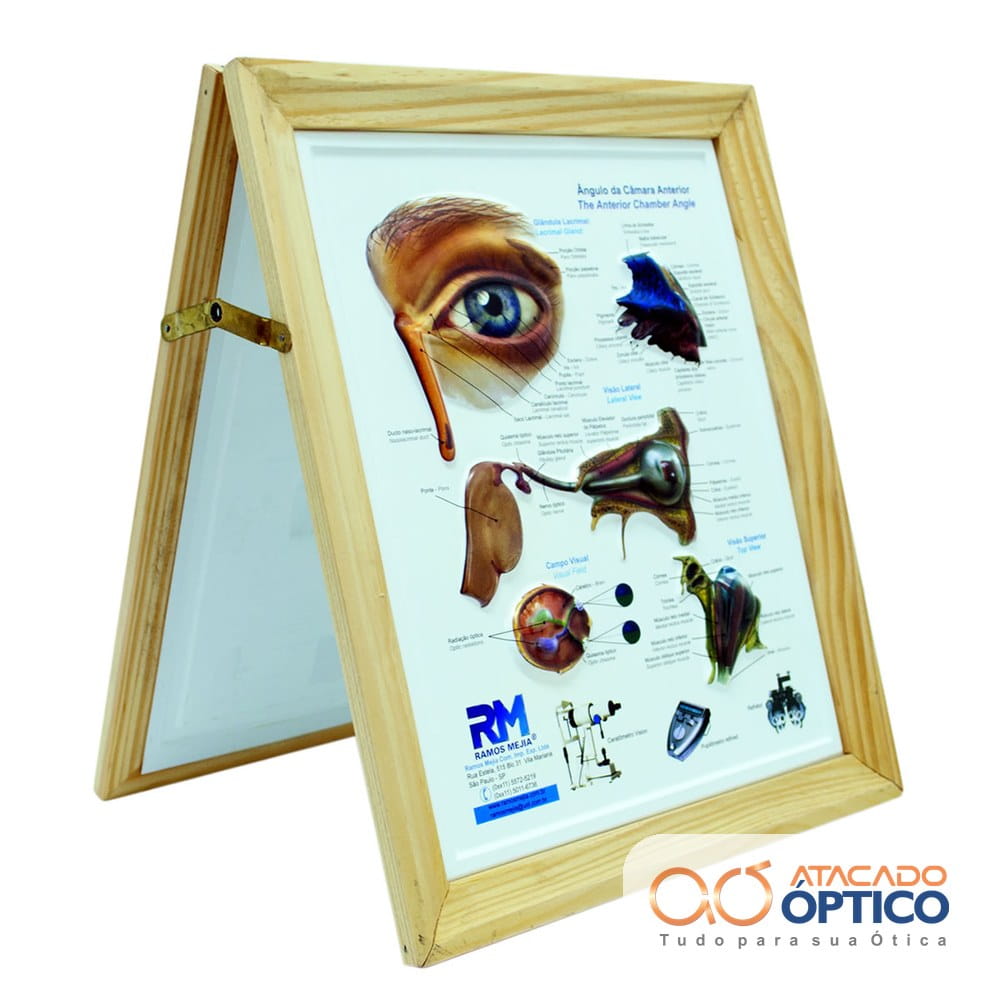 Olho Quadro com Moldura — foto 2 — Equipamentos Atacado Optico