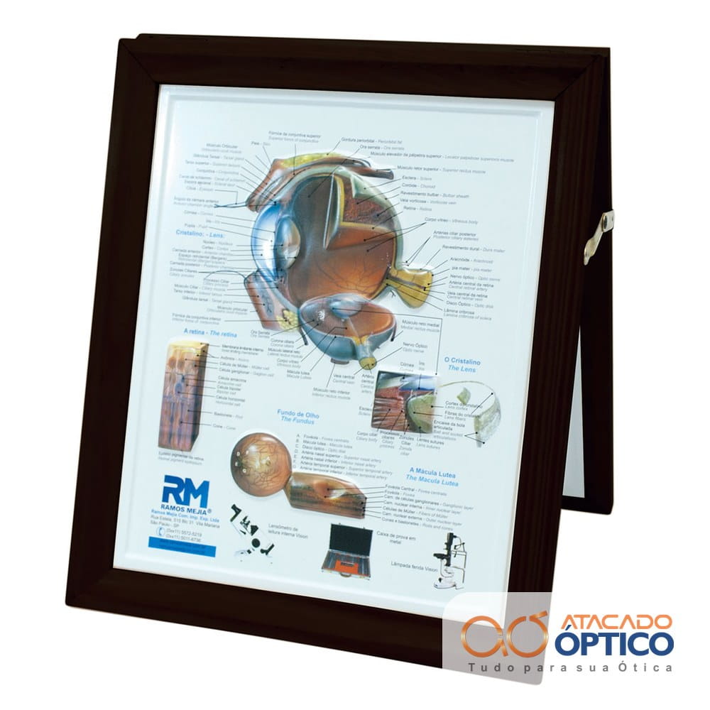 Olho Quadro com Moldura — foto 3 — Equipamentos Atacado Optico