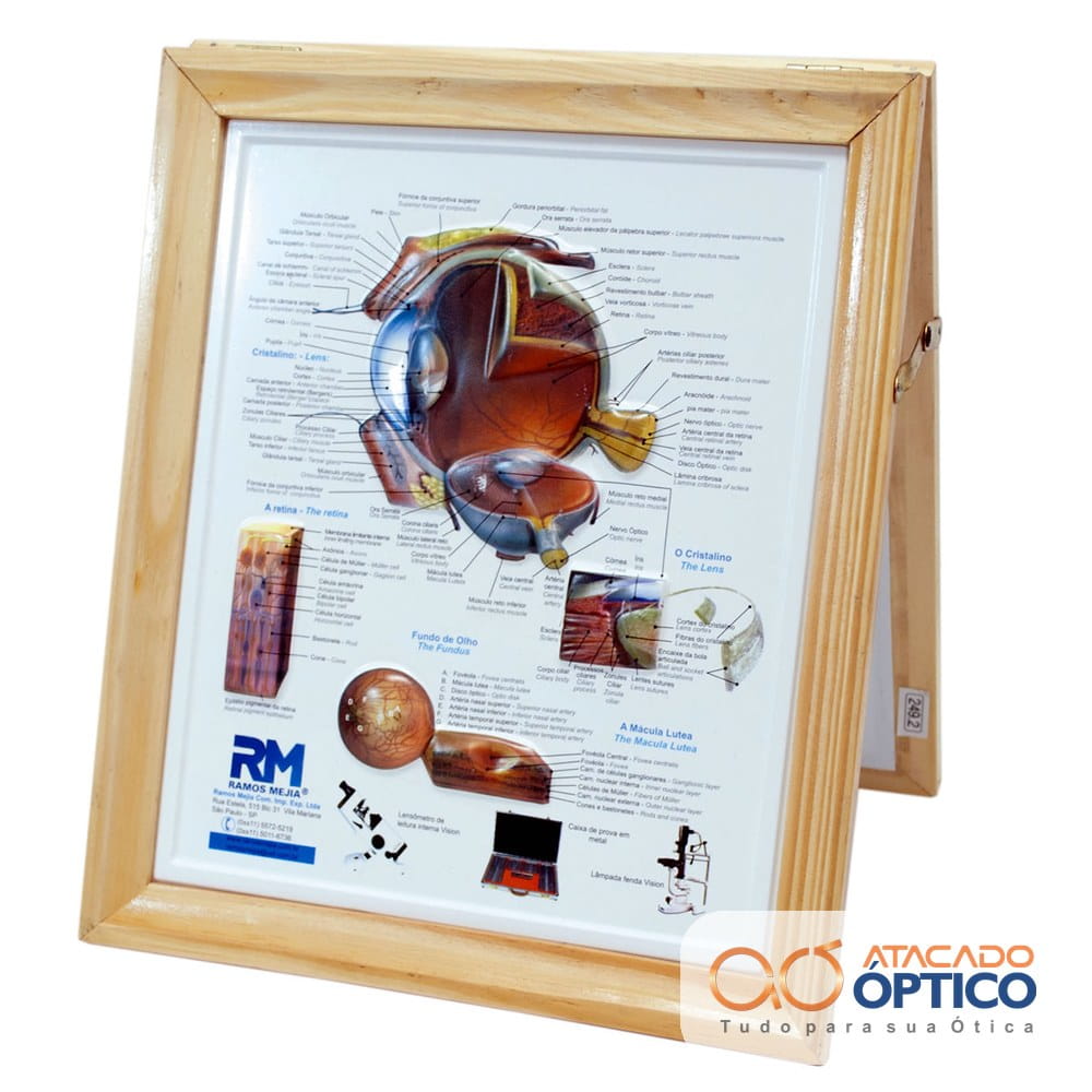 Olho Quadro com Moldura — foto 4 — Equipamentos Atacado Optico